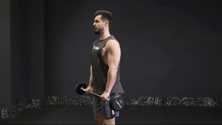 Jak wykonać poprawnie reverse grip barbell biceps curl?
