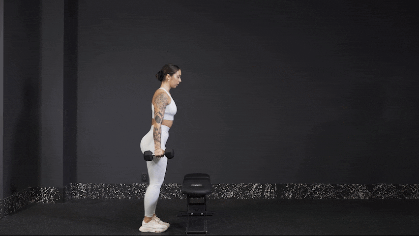Jak wykonać poprawnie dumbbell step ups Jak wykonać poprawnie dumbbell step ups