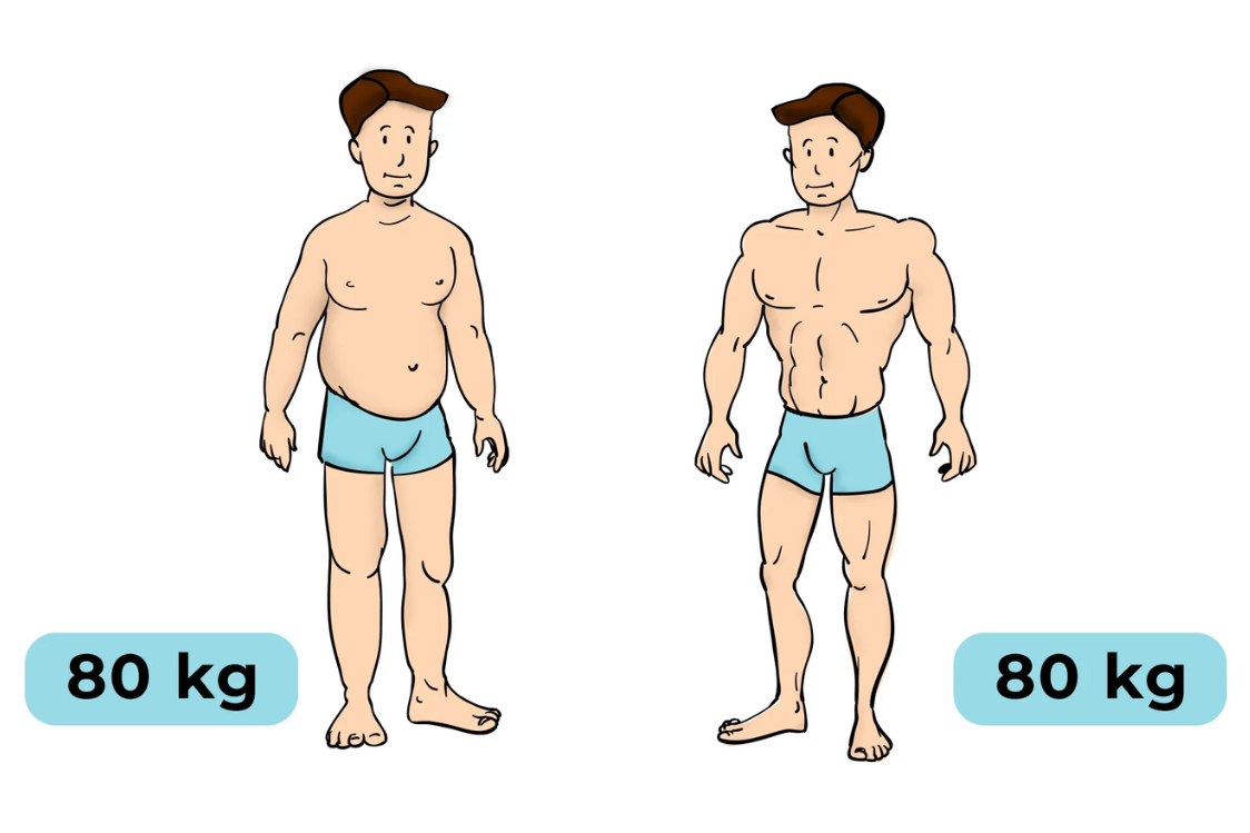 Відмінності у складі тіла
