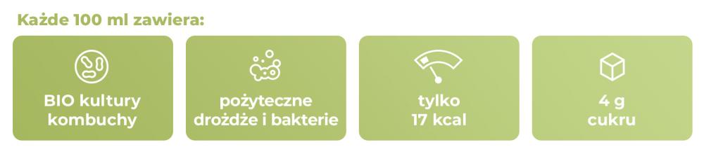BIO Kombucha - GymBeam