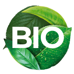 Syrop Kokosowy BIO Light - BioToday
