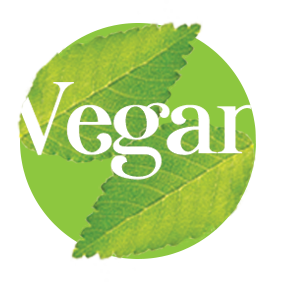 Próbka Bio Vegan Protein - VanaVita