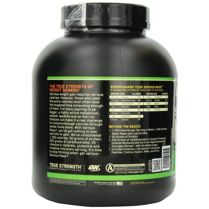 Serious Mass - Optimum Nutrition 2720 g - czekolada
