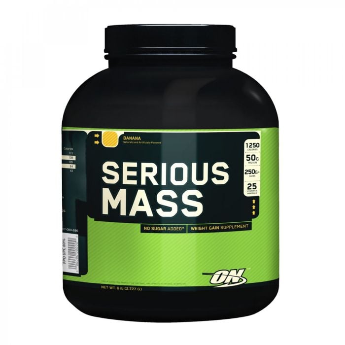 Serious Mass - Optimum Nutrition 2720 g - czekolada