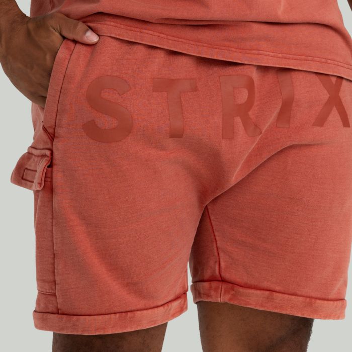 Szorty Washed Terra - STRIX L